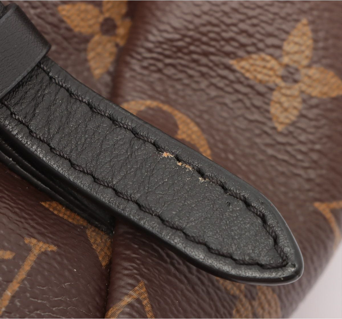 Louis Vuitton Palm Springs Backpack