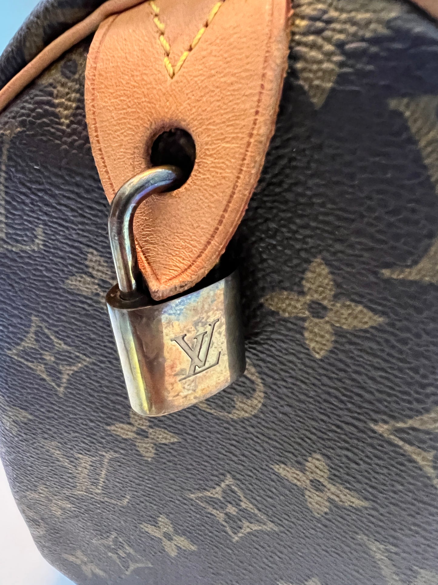 Louis Vuitton Speedy 30